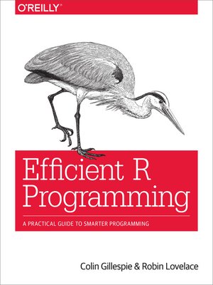 Efficient R Programming - ebook
